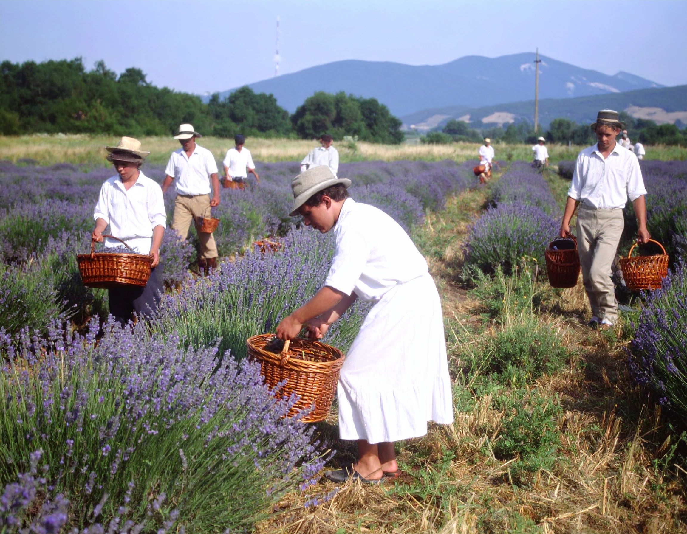 Lawenda, sierp i trzy doby w pociągu czyli jak młody Polak odkrywał Bułgarię, zanim wellness stało się modne